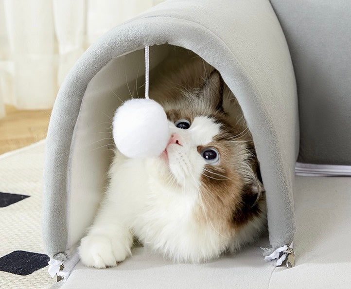 pet house
