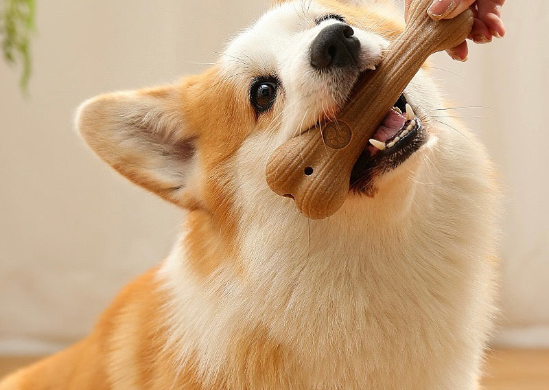 pet chew stick